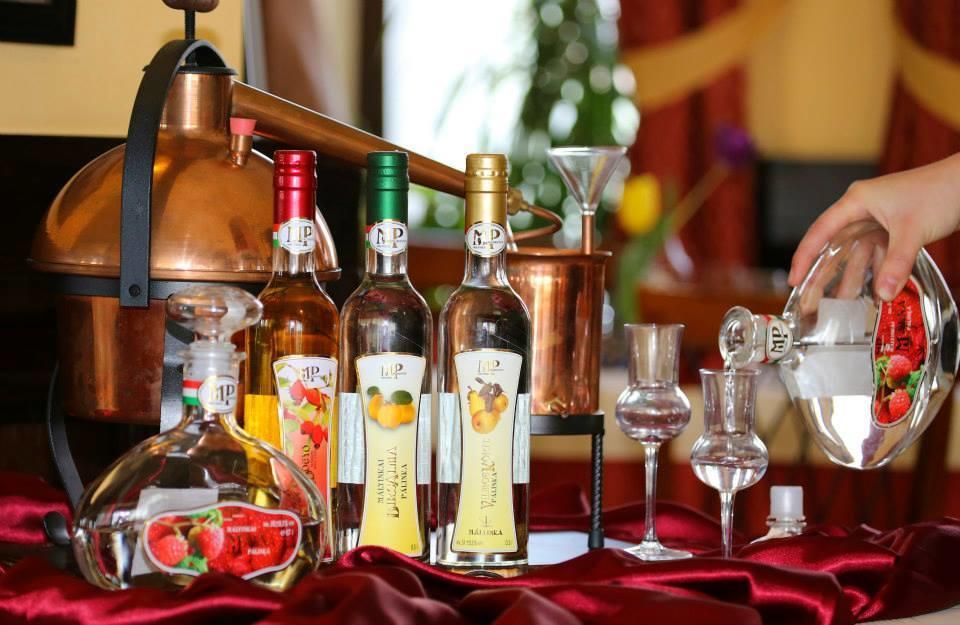 Ambrozia Etterem Es Panzio Bed and Breakfast Kazincbarcika Buitenkant foto